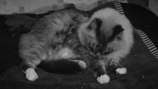 Ответчик-биолог