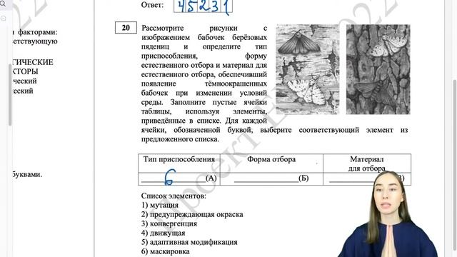 Разбор демоверсии ЕГЭ-2022 по биологии с решением | ЕГЭ БИОЛОГИЯ 2022 | СОТКА