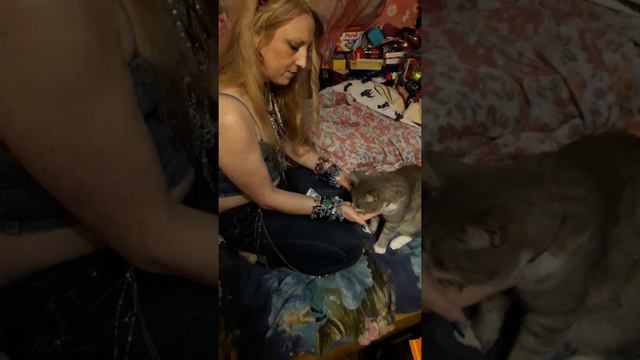 САМЫЙ БОГАТЫЙ КОТ#КАК НАУЧИТЬ КОТА ДАВАТЬ ЛАПУ# НАУЧИТЬ КОТА ДАВАТЬ ПЯТЬ# КАК НАУЧИТЬ КОТА ТРЮКАМ