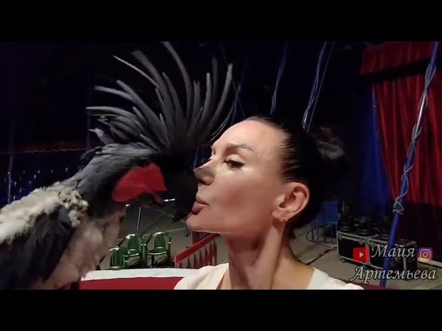 14322d016e4efb757e1f1746bc2d5611