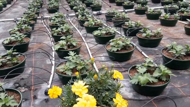 8649ff73e2d5af5cc5ad438f50a8ad4e