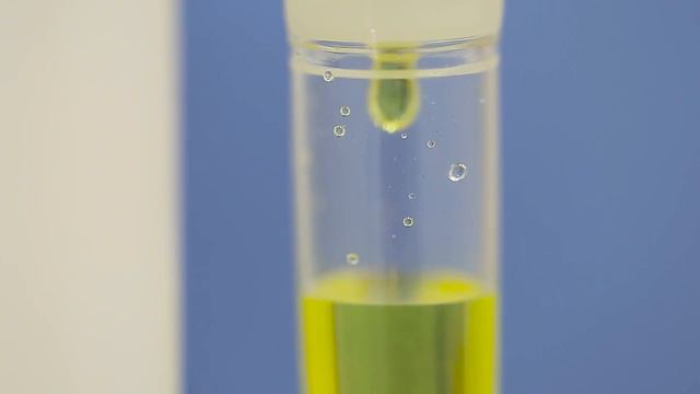 КАПЕЛЬНИЦЫ ЧЕБОКСАРЫ