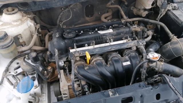 Hyundai: машины для любви к музыке