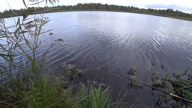 Рыбалка и охота на диком лесном озере в глубинке России