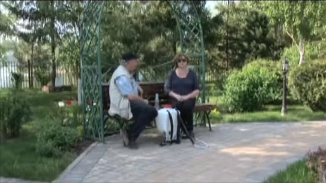 Gazony.com — Уход за газоном: борьба с сорняками