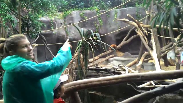 Искусственные джунгли в Пражском зоопарке