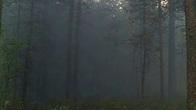 Egor And Opizdenevshiye - There Was A War - Come And See (LSd Video)