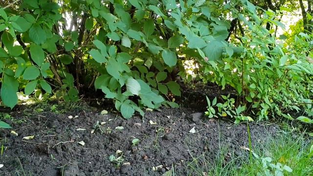 0f5b8f6b6c7092345b75b617e549dab4