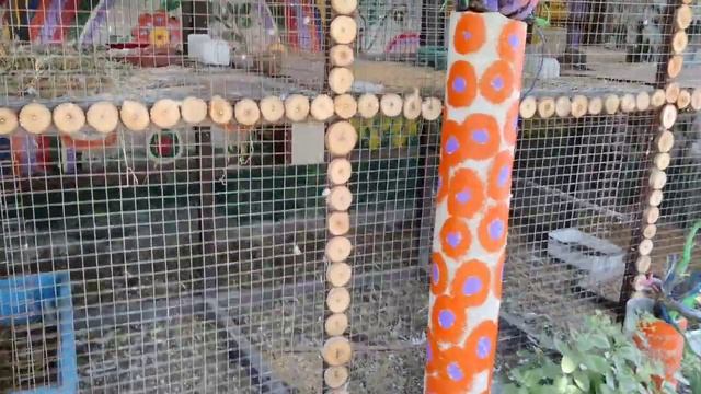 ЦЕНЫ на ЖИЛЬЕ в БЕРДЯНСКЕ. 5 МИНУТ ДО МОРЯ. Это что-то! Обзор