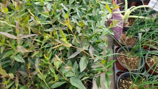 1058eeaec731454797afde5e4764a625