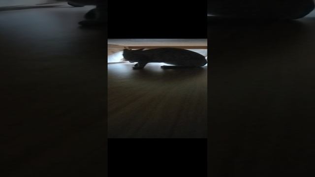 Afc06c33d344bea48d03ab8e984fde2f