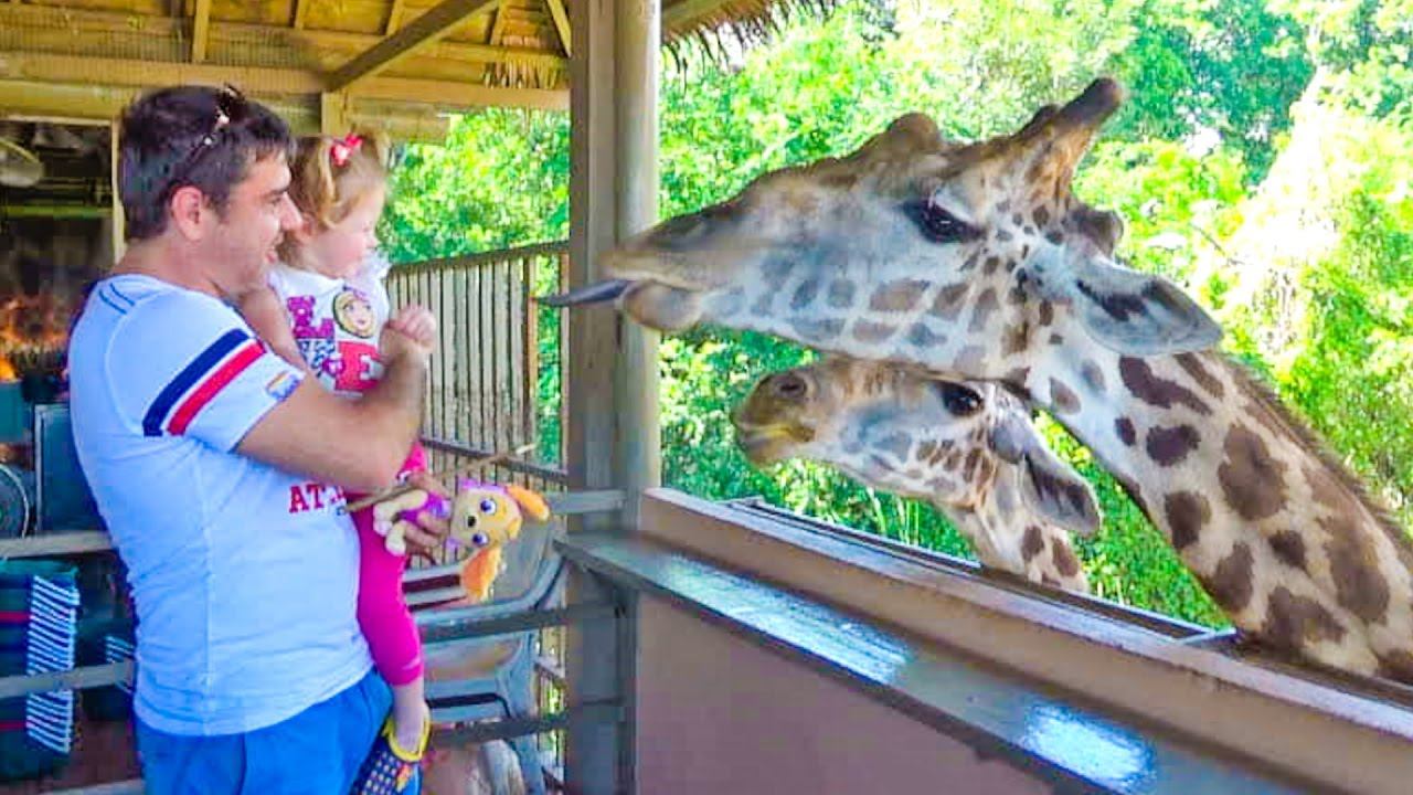 ВЛОГ Кормим ЖИРАФОВ в СУПЕР Сафари Парке - Детское видео