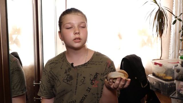 483f67d6585243c500e0ad3a346862ff