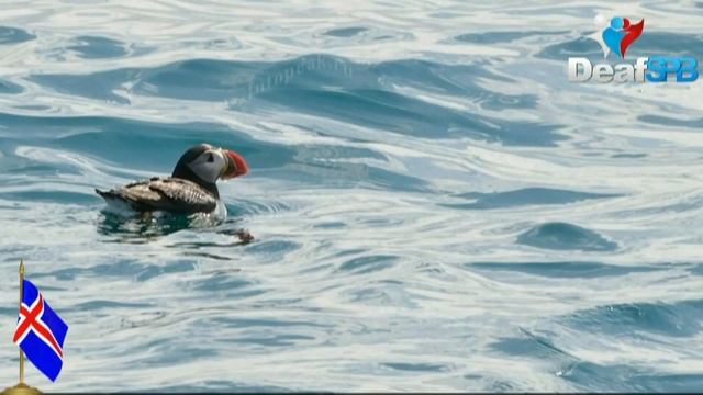 Рецензии на Кинофильмы и Телесериалы