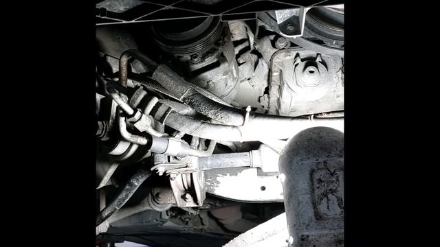 Дизайнерские тренды