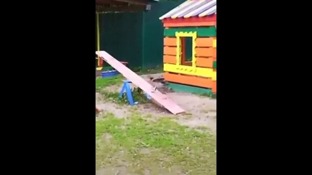 Ворона на качелях