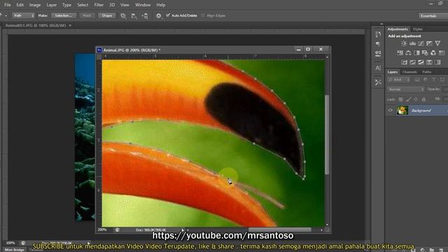 Tutorial Cara Menyeleksi Gambar Menggunakan Pen Tool Di Photoshop - Mr. Santos