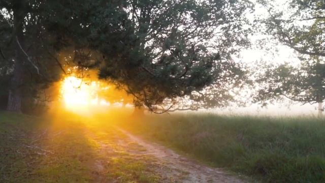 Дорога домой / Светлана Бек / Фонограмма