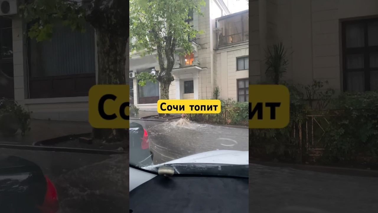 966f91acde57f4071747a5522e3231e7