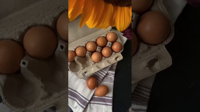 Мыть яйца нужно перед приготовлением✅ #нутрициолог #нутрициология #здоровоепитание