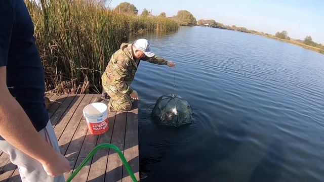 Трофейная рыбалка! Объелись раками! Сазаны и судаки. Щука на спиннинг и лещ на 2 кг.