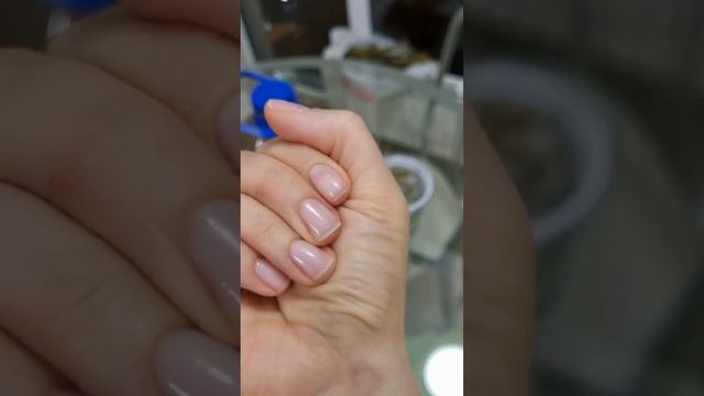 Как меняются улитки Захрисии за 2 недели. Автор видео Алёна Баркова