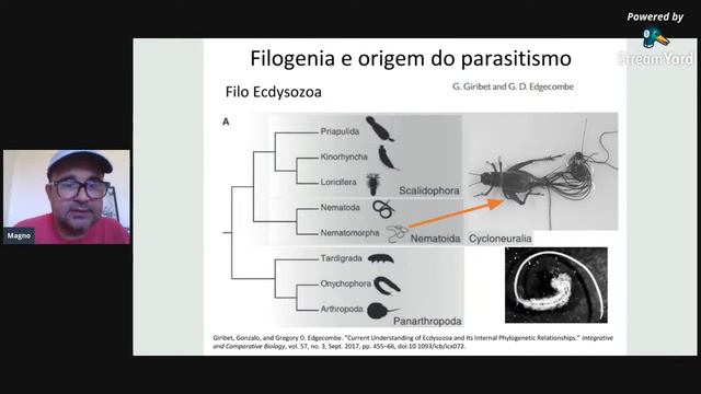 Evolução E Biologia Dos Nematoda Parasitos De Vertebrados