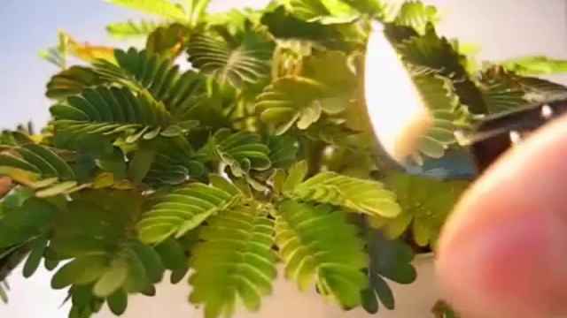 A46431e20bf05e74a824f4d5b2610742