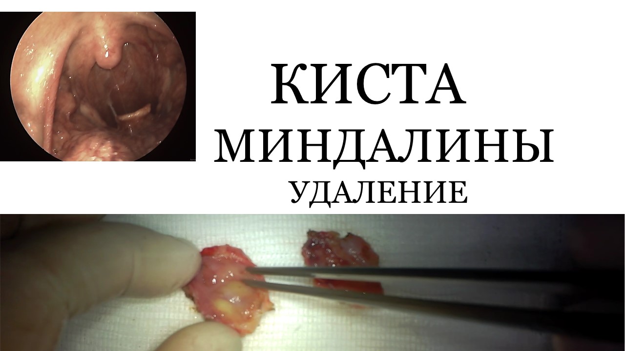 C794f592f1078c9739c01b31357c02e3