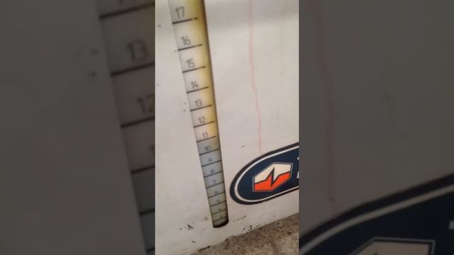 Интерьерные Изумления