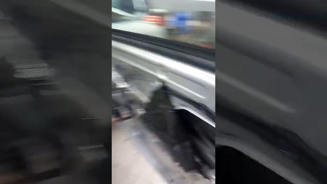 Домашняя Эстетика