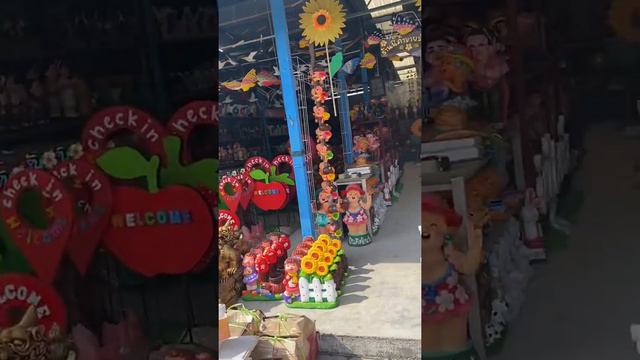 ช้อปต้นไม้คลอง15ก่อนโควิด