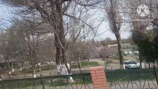 Весна в Ташкенте. 6 марта. Дорога до Рабочего городка.