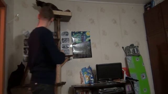 F6ccc241fb57d1529b06a62973bb53c4