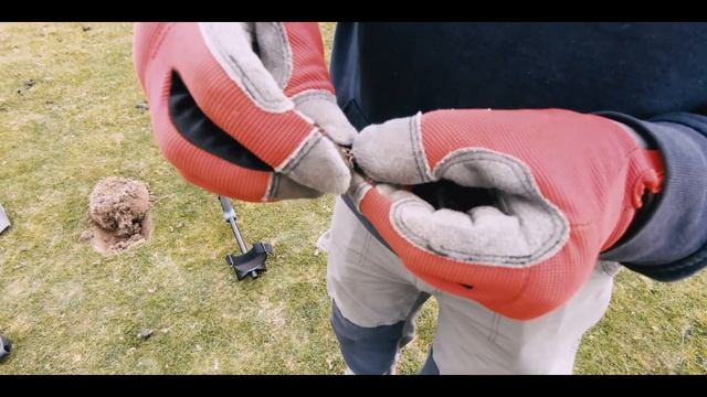 Metal Detecting Equinox 800 And Xp Deus