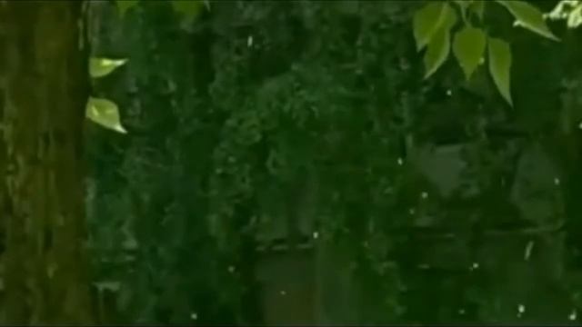 Поёт Эля Батик  =День рождение в июне!