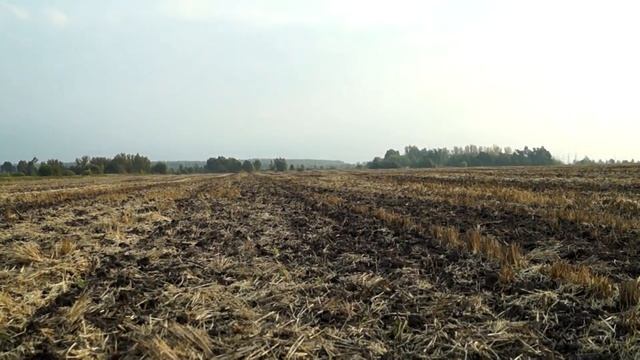 Новые находки на полях с Minelab E-Track.