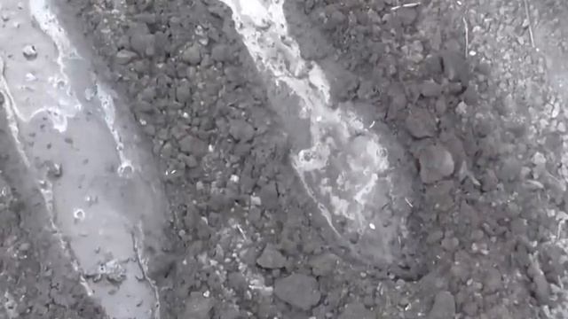 Посев семян огурцов в открытый грунт