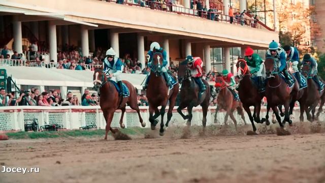 Большой Всероссийский приз Дерби 2016