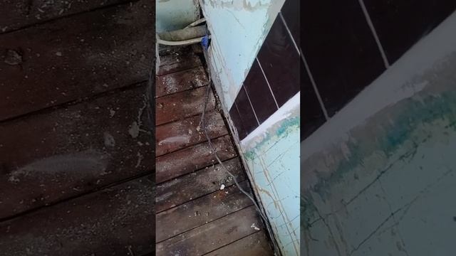 Разобрали сгнивший пол.mp4