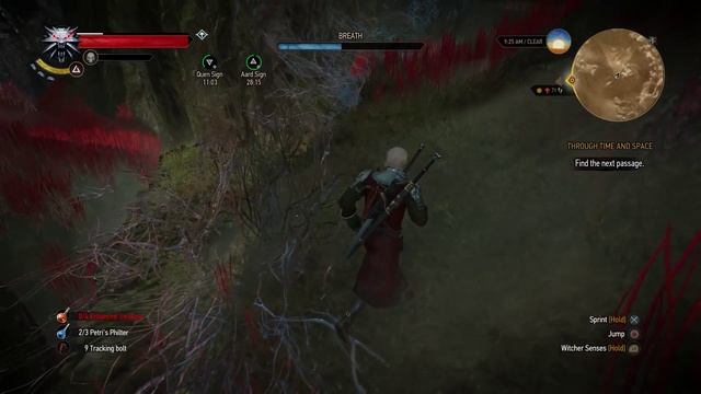The Witcher 3 - Through Time And Space: Find The Next Passage: Navigate The Poisonous Gas World PS4