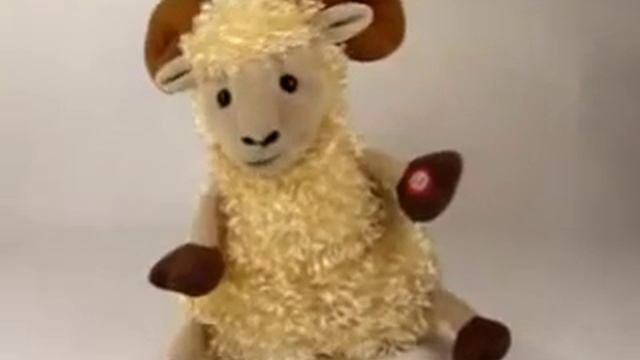 Кудрявый барашек