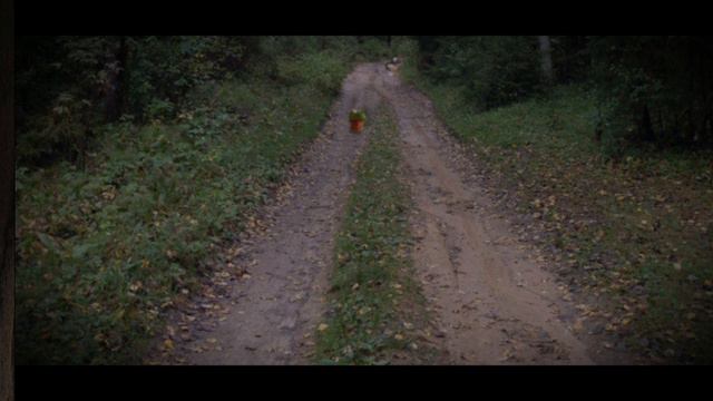 SVID_20240413_135706_1.mp4