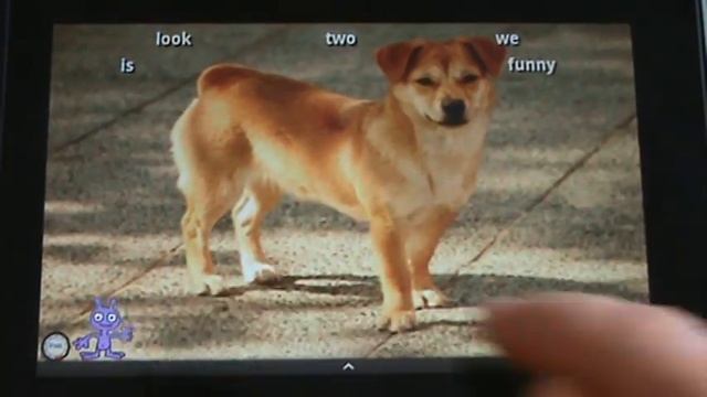 Sight Words Fun Learning Game (Kindle And Android Devices)