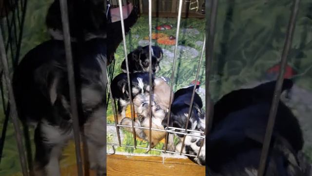 Aca9b0e0d9af313eb1f00e57160f224f