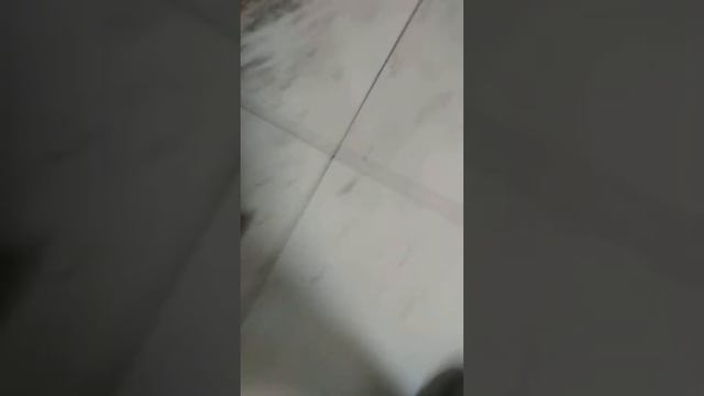 Волосные репортажи