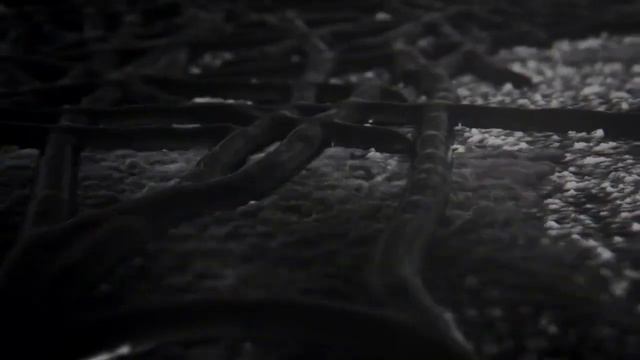 Is Resident Evil 5 & 6 Worth Picking Up For Nintendo Switch!