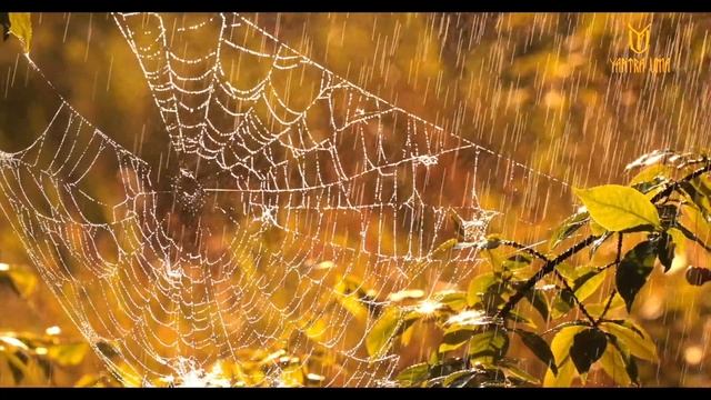 09e563544469aefe62d68d48b2d93153