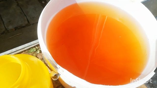 не выбрасывайте! Отличная #Подкормка! + бонус + лайфхак