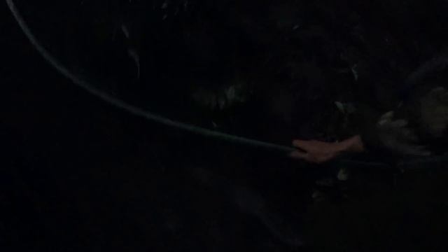 ПОЕХАЛИ НА ПРИРОДУ / СКОСИЛ ТРАВУ / ПОЛИЛИ ОГОРОД / УПРАВИЛИСЬ С ХОЗЯЙСТВОМ / НОВАЯ ЖИЗНЬ